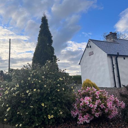 Dans Wee Cottage Slieve Croob Dromara Castlewellan Newcastle Esterno foto