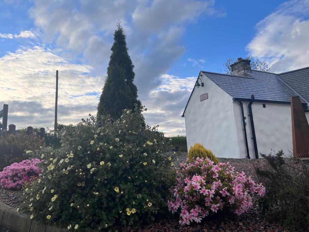Dans Wee Cottage Slieve Croob Dromara Castlewellan Newcastle Esterno foto