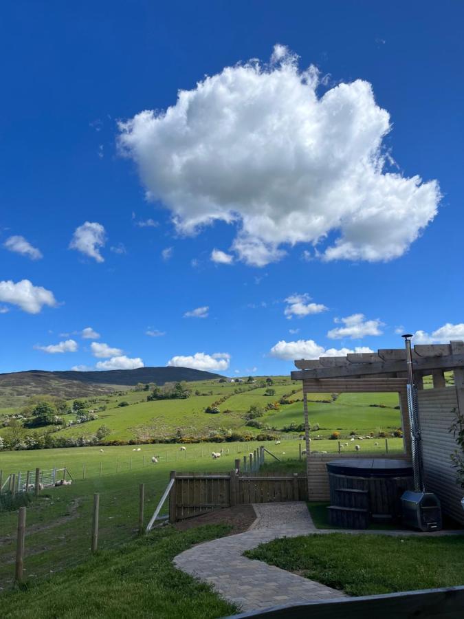 Dans Wee Cottage Slieve Croob Dromara Castlewellan Newcastle Esterno foto